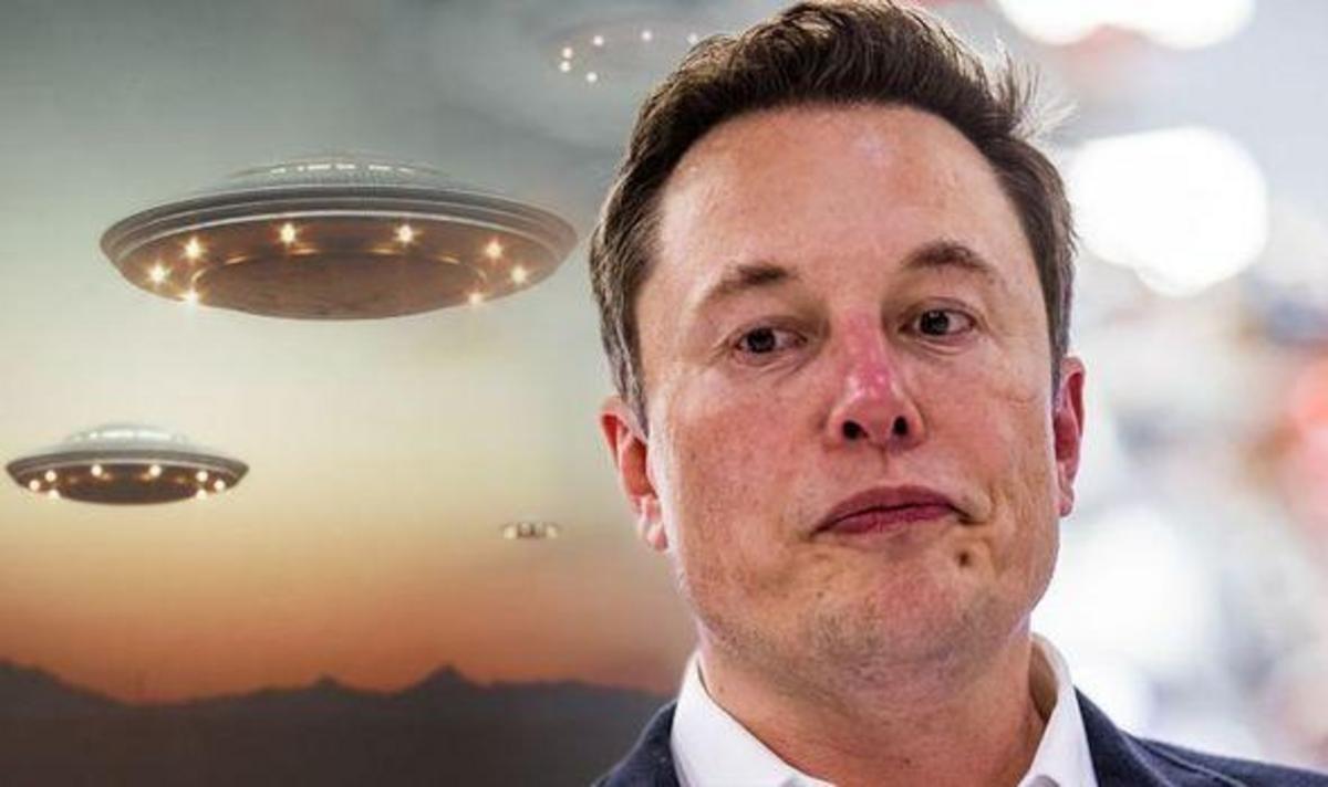 Elon Musk As A Boss