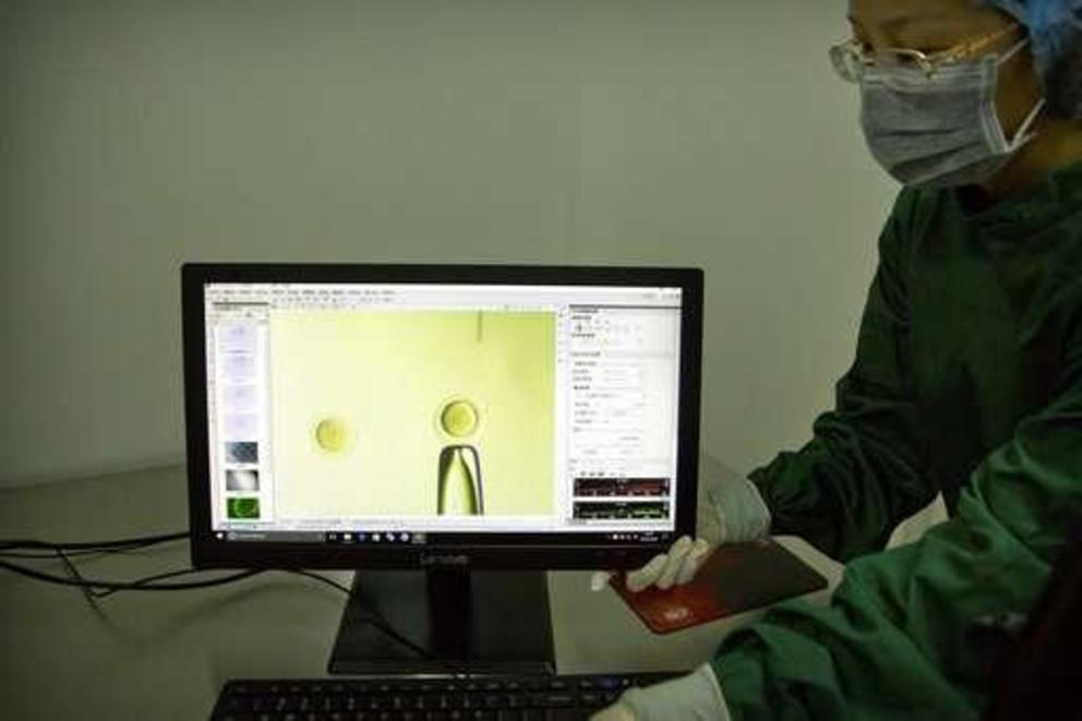 In this Oct. 9, 2018 photo, Zhou Xiaoqin adjusts a monitor showing a video feed of Qin Jinzhou moving a fine glass pipette containing Cas9 protein and PCSK9 sgRNA to an embryo under a microscope at a laboratory in Shenzhen in southern China's Guangdong pr