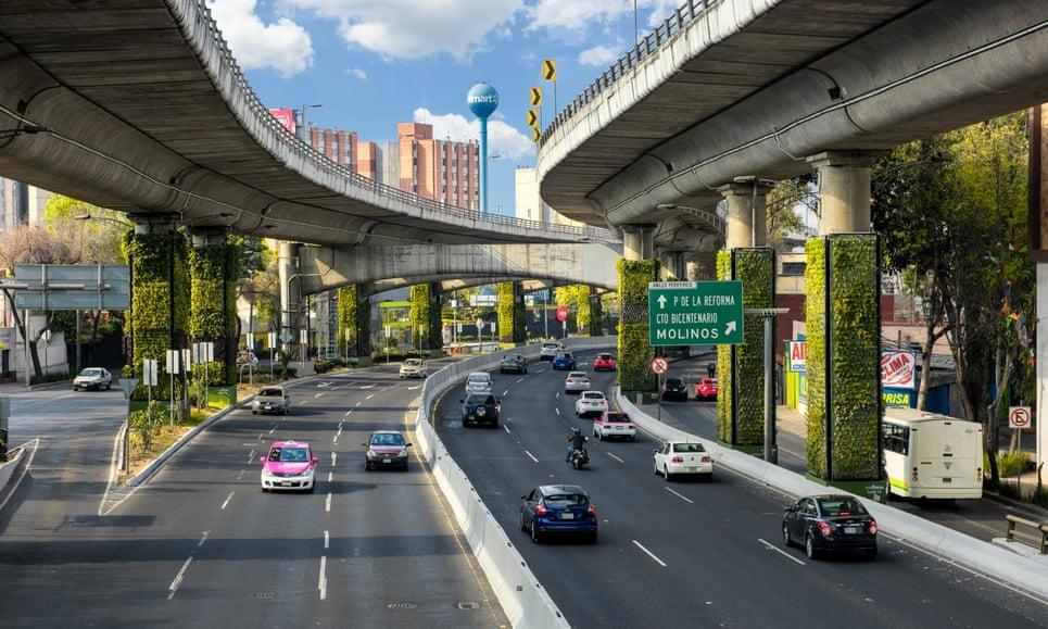 Mexico City's vertical gardens: seeds of change or cynical greenwashing ...