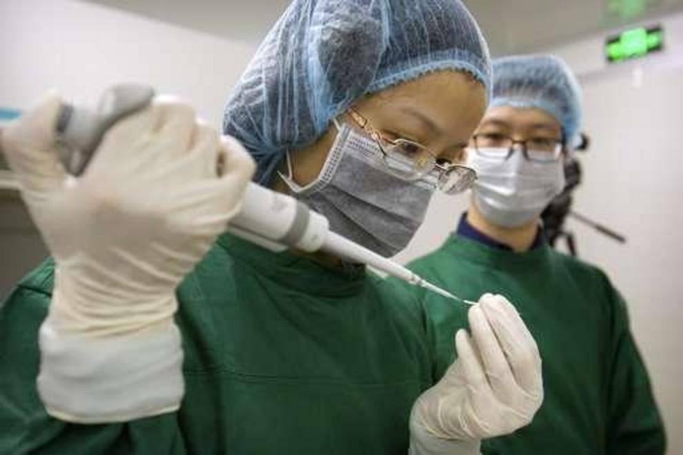 In this Oct. 9, 2018 photo, Zhou Xiaoqin, left, loads Cas9 protein and PCSK9 sgRNA molecules into a fine glass pipette as Qin Jinzhou watches at a laboratory in Shenzhen in southern China's Guangdong province. Chinese scientist He Jiankui claims he helped