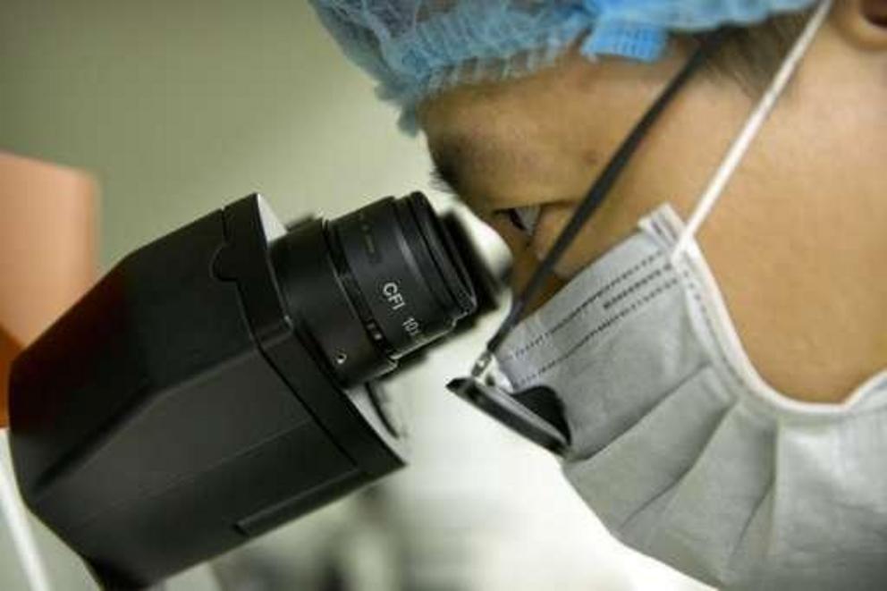 In this Oct. 9, 2018 photo, Qin Jinzhou looks through the lenses of a microscope as he works at a laboratory in Shenzhen in southern China's Guangdong province. Chinese scientist He Jiankui claims he helped make world's first genetically edited babies: tw