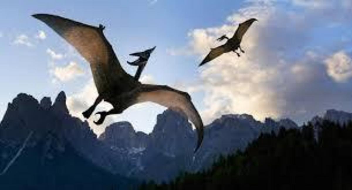 1864 picture pterodactyl