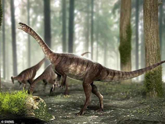 Scientists Uncover Oldest Long-necked Dinosaur On Record - Nexus Newsfeed