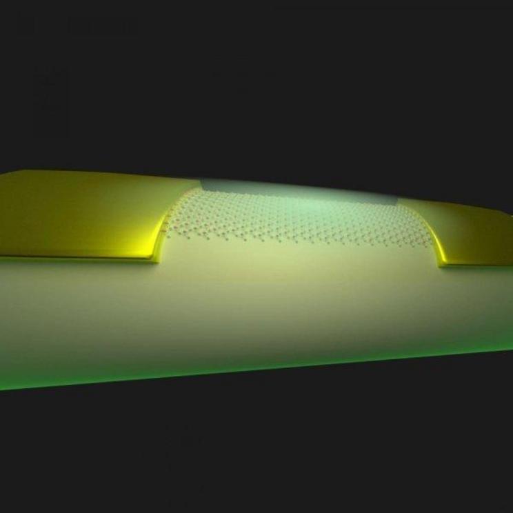 Illustration of flexible, 2-D circuit.  Credit: Zehua Jin/Rice University