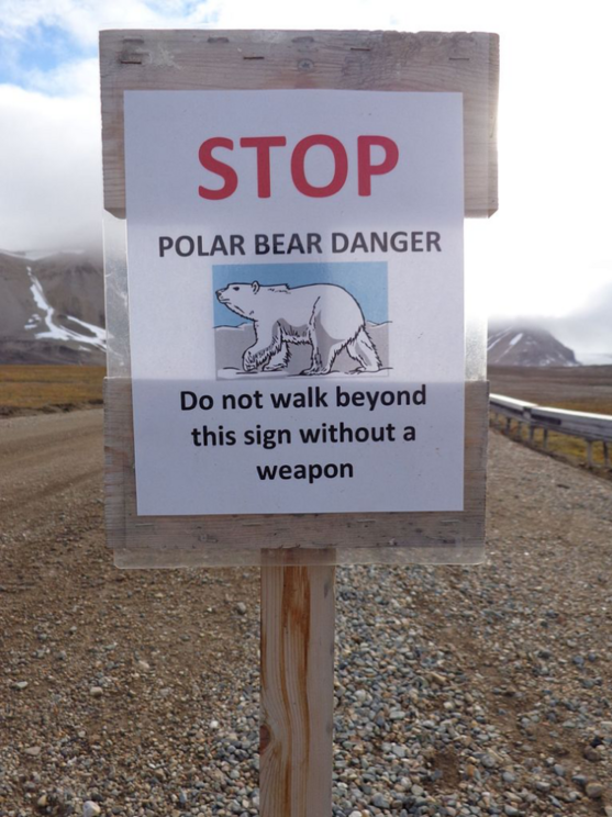 Science in the Arctic is not without risk. This sign is at the edge of Ny Alesund.