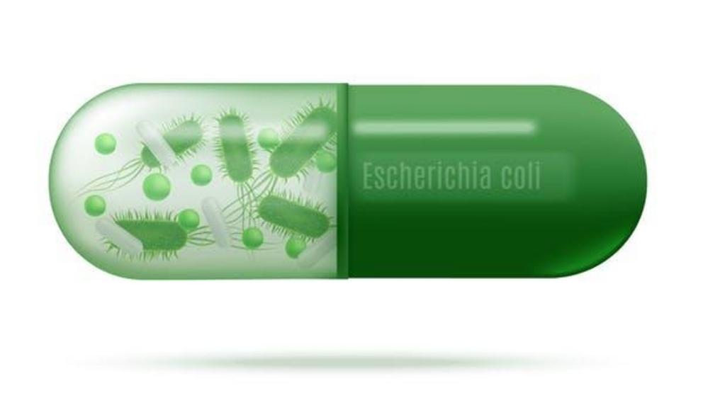 Escherichia coli live bacteria in soluble shell.