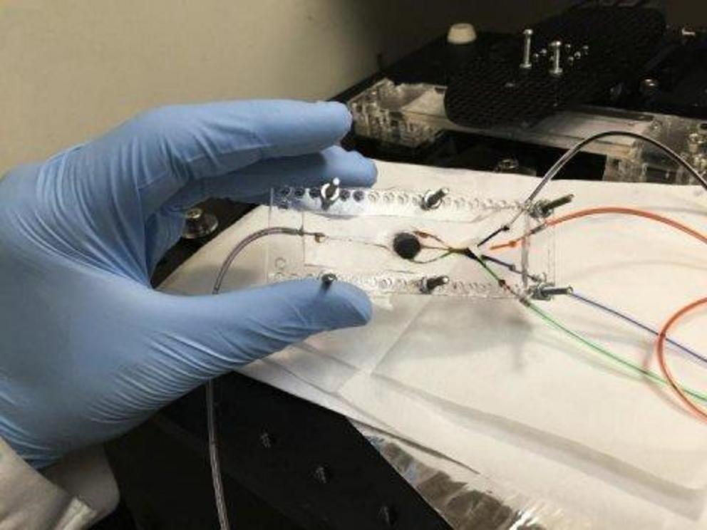 The 3D bioprinter designed by Khademhosseini has two key components: a custom-built microfluidic chip (pictured) and a digital micromirror.