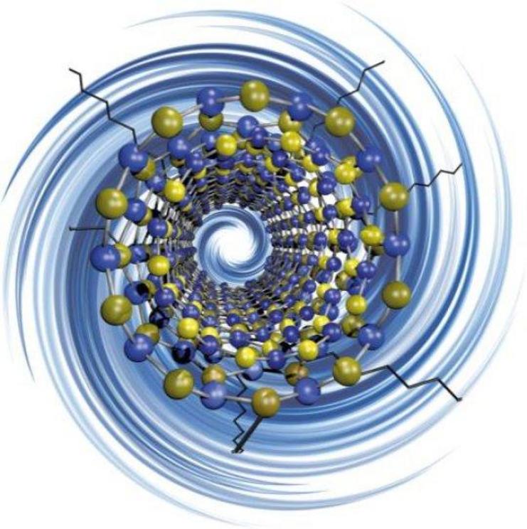 Rice University researchers have discovered a way to 'decorate' electrically insulating boron nitride nanotubes with functional groups, making them more suitable for use with polymers and composite materials.  Credit: Martí Research Group/Rice University