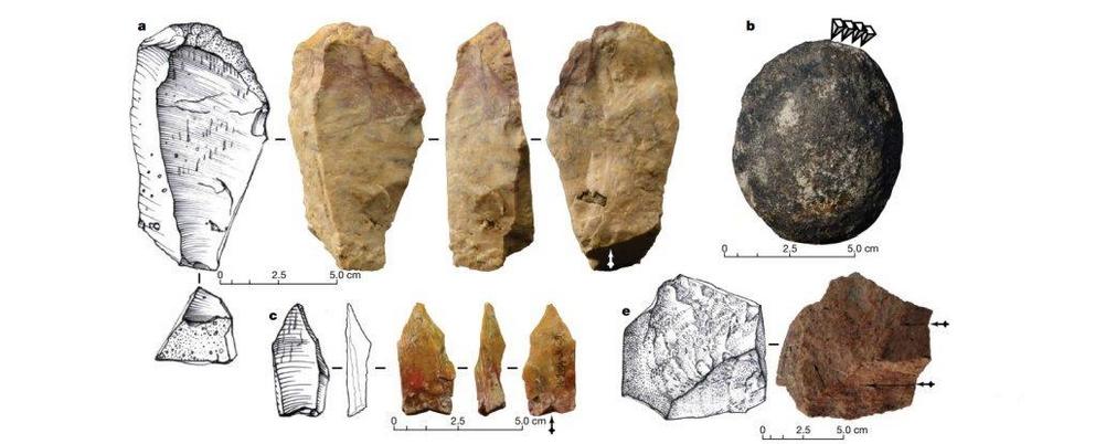 Ingicco et al./Nature