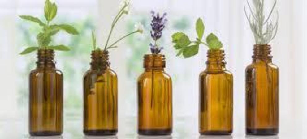 essential-oils-to-fight-bacterial-infections-study-nexus-newsfeed