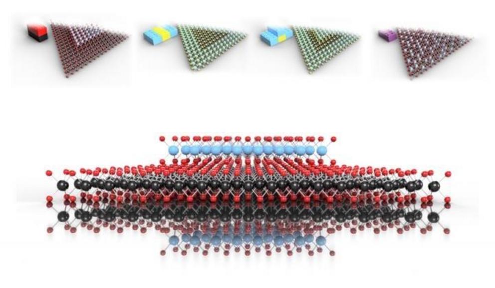 Top: Vertical MoSe2-WSe2 heterostructure, radial MoS2-WS2 heterostructure, hybrid MoS2-WS2 heterostructure and MoSe2-WSe2 alloy building block representations and crystal structure models Bottom: Vertical MoSe2-WSe2 heterostructure crystal structure model