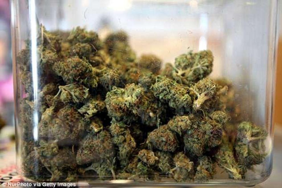  Australia's first medicinal cannabis clinic set to open in Melbourne – as it's revealed an additional nine will be launched next year      The first of 10 medical cannabis clinics is set to be launched in Melbourne      New legislation allows for treatme