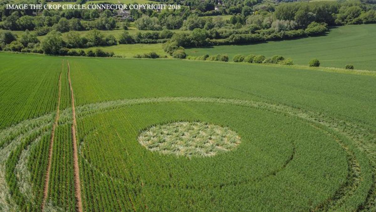 Последние изображения на полях Англии. Картинка circle field. Круги на полях Великобритании последние фото. В первичных полях не возникает.