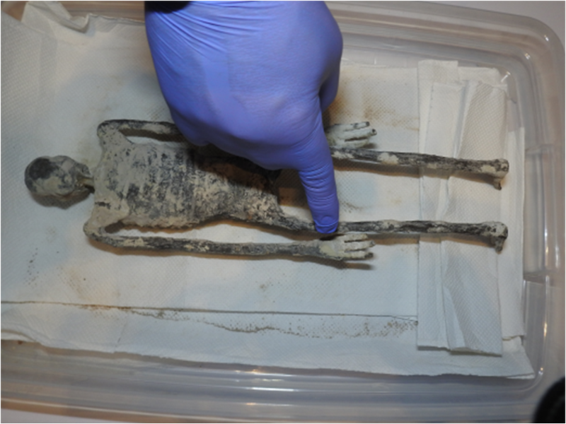 Three-fingered ‘alien Mummy’ Dug Up In Peru Could Be New Species Of ...