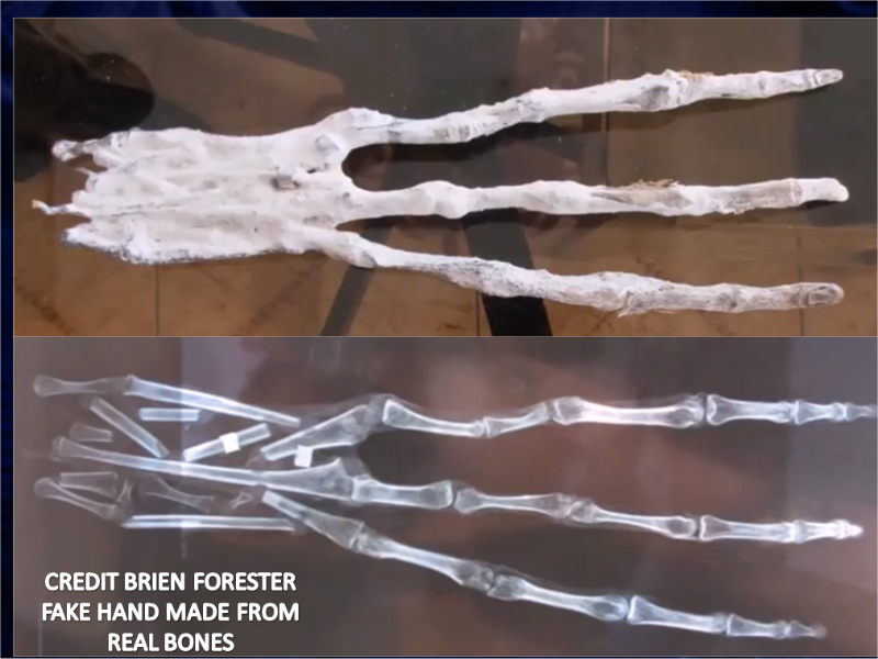 Three-fingered ‘alien Mummy’ Dug Up In Peru Could Be New Species Of ...