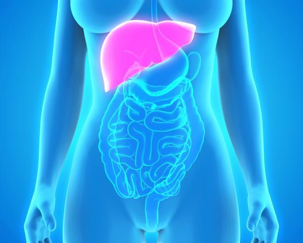 When push comes to shove: airway cells propel liver cancer spread to ...