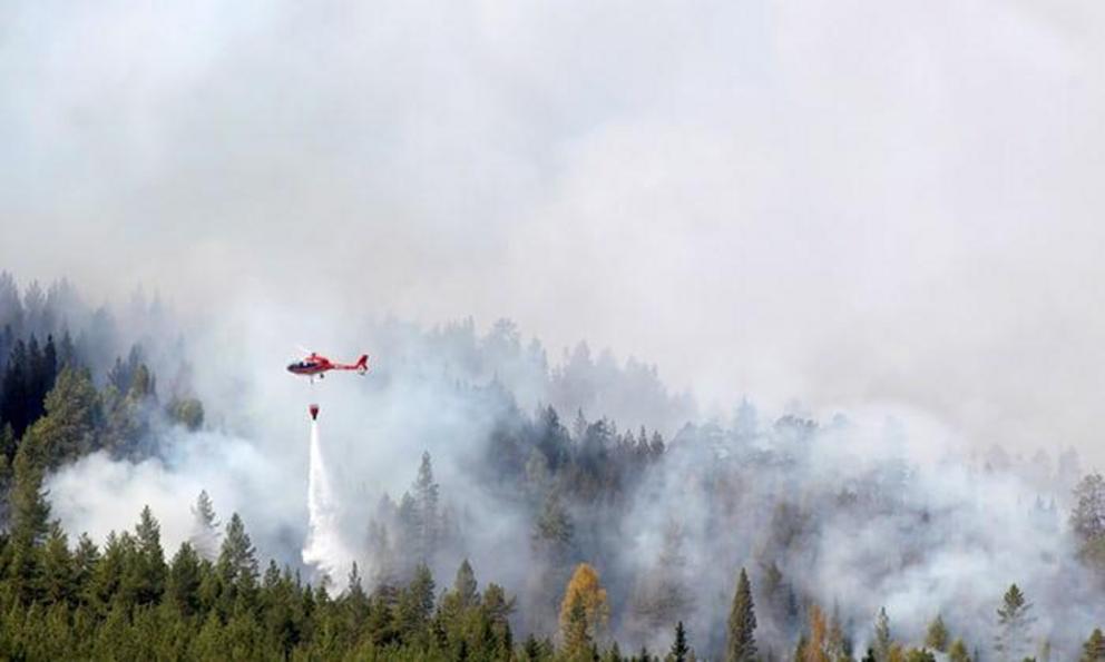  Firefighters battle a blaze in a forest in western Sweden, the worst-hit country. 