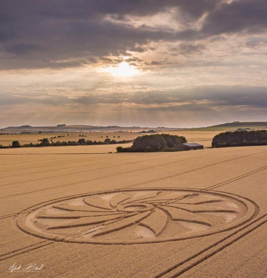 Crop circle: Clifford's Hill, near Allington, Wiltshire - Nexus Newsfeed