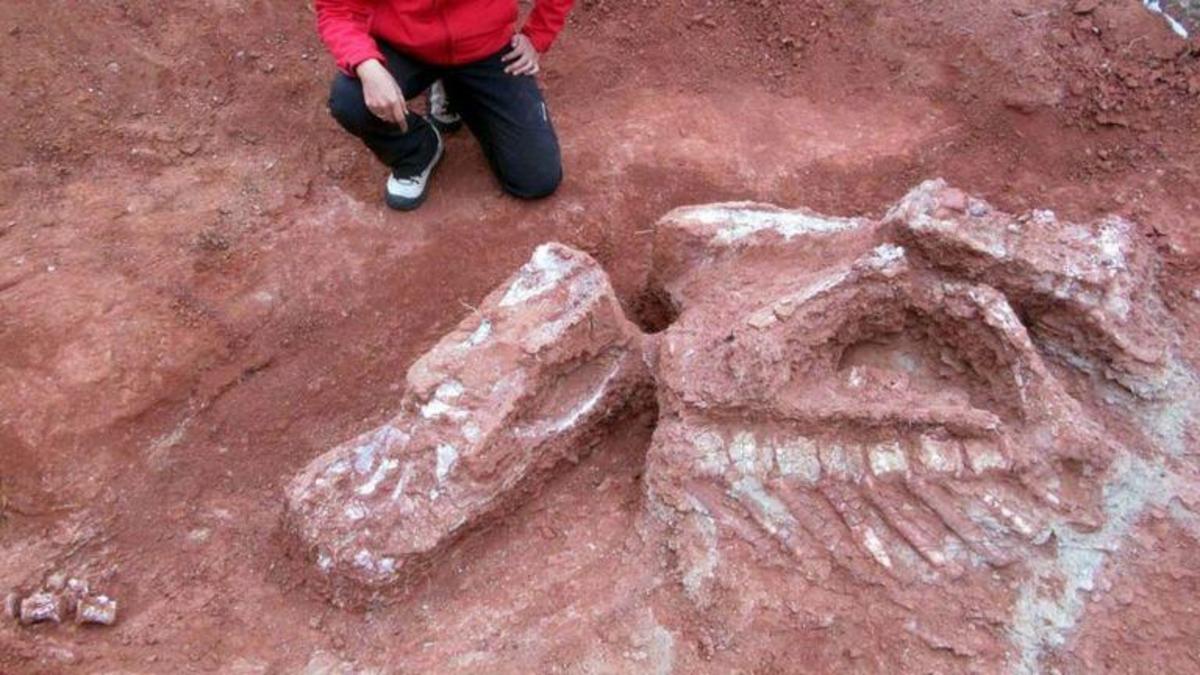 first dinosaur fossil discovery