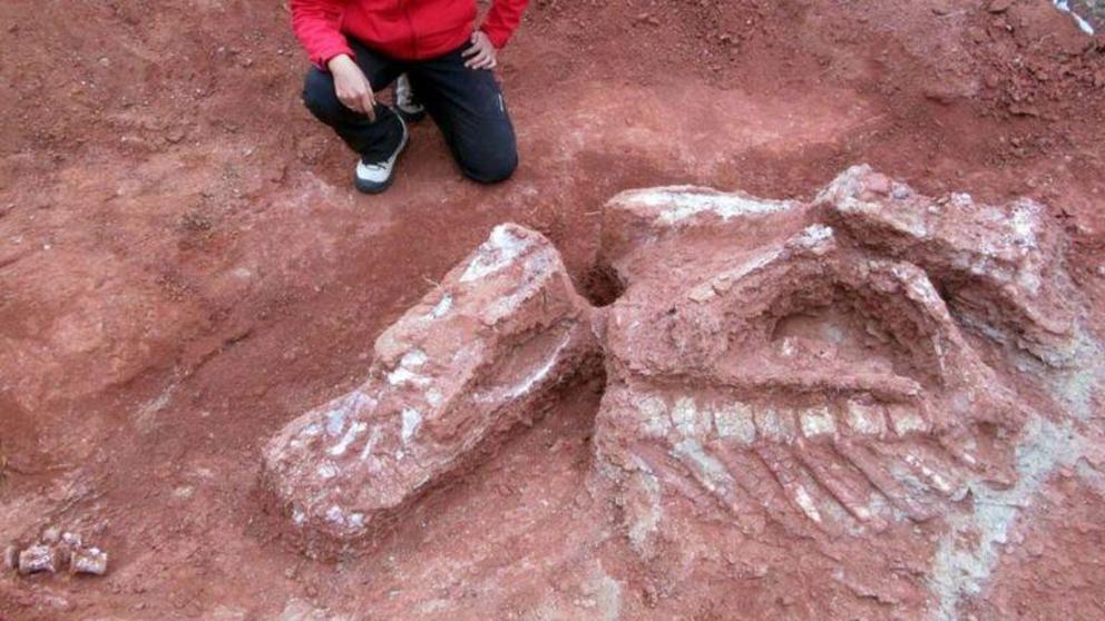 The bones were found in the Marayes-El Carrizal Basin 