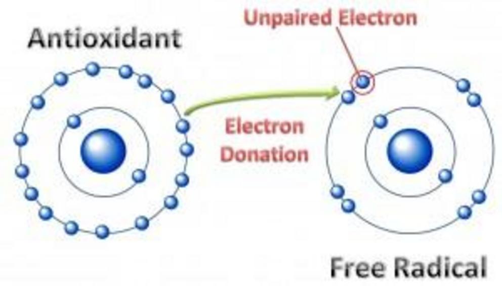 Fulvic acid has 14,000,000,000,000,000,000,000 electrons it can donate or accept to neutralize and stabilize free radicals.