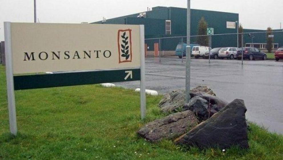 A Monsanto office in Enkhuizen, Netherland. | Photo: Wikimedia