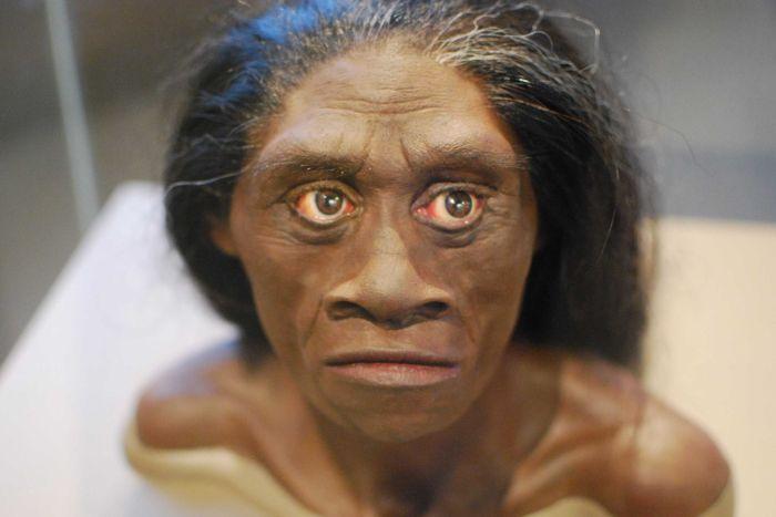 pygmy-people-in-indonesia-not-related-to-hobbit-but-evolved-short