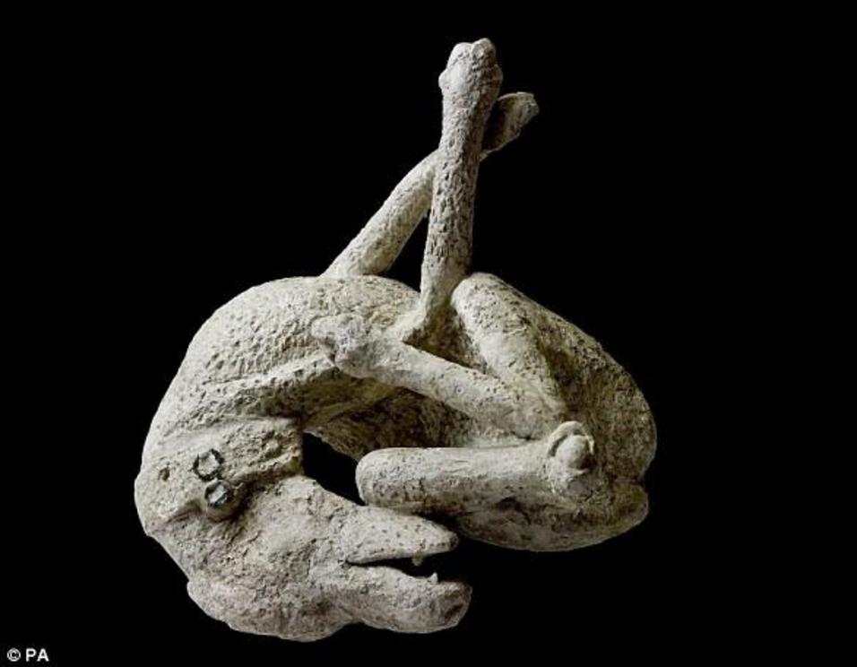 A plaster cast of a dog, from the House of Orpheus, Pompeii, AD 79. Around 30,000 people are believed to have died in the chaos, with bodies still being discovered to this day