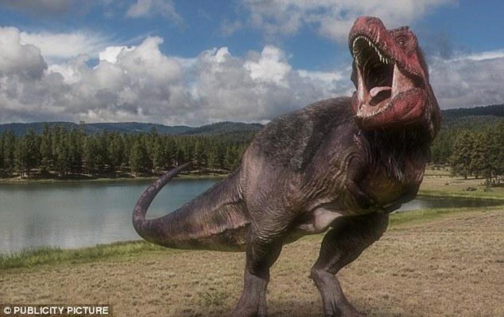 It would have been crawling over plants for nourishment when it was frozen in time during the Cretaceous period when T-Rex (pictured) was around