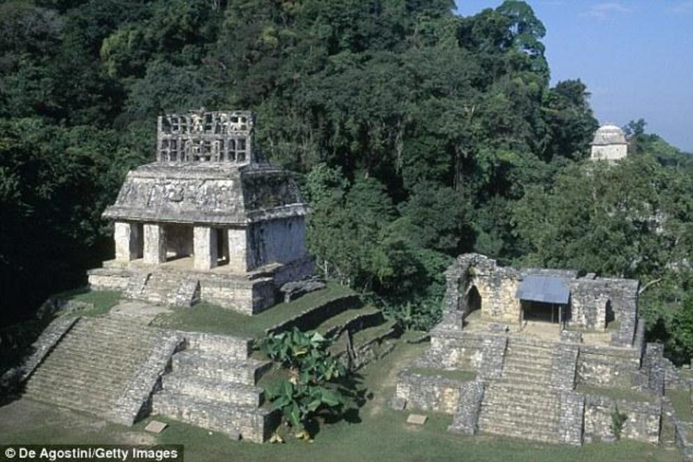 ‘Palenque (shown) continues to astonish us with everything it has to offer archaeological, anthropological, and historical research,’ Prieto said