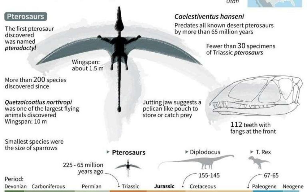 Factfile on Caelestiventus hanseni a new species of flying reptiles, known as Pterosaurs, discovered in US state of Utah.  Read more at: https://phys.org/news/2018-08-million-year-pterosaur-built.html#jCp