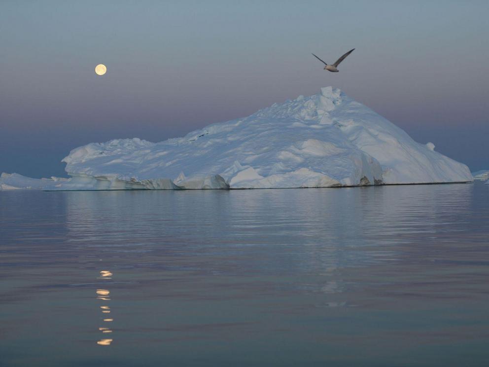 Like the Earth, the moon's poles are its coldest regions