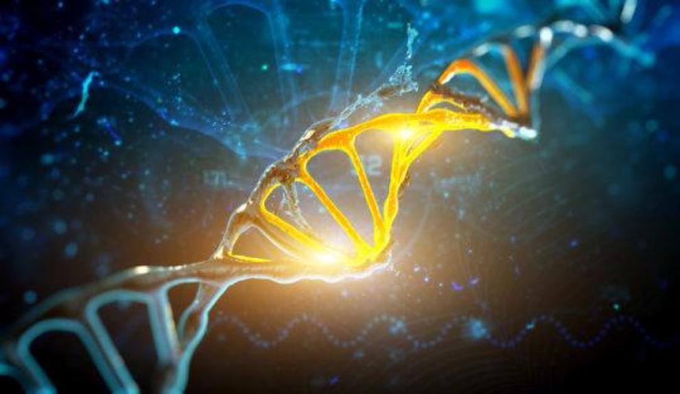 DNA illustration 