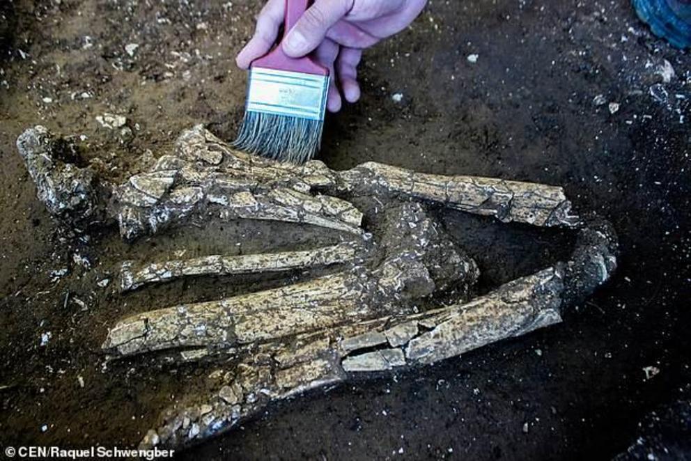 Archaeologist Valdir Luiz Schwengber from the University of Southern Santa Catarina, who is coordinating the find, said the skeletons were found around 60 centimetres (23 inches) under the surface