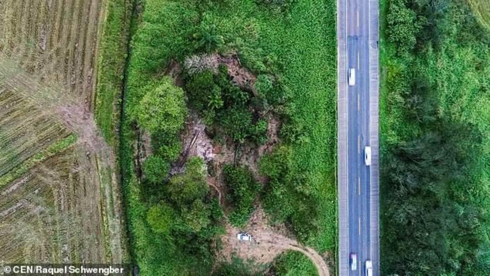 The skeletons, which were found during works to extend the road in May (pictured), were sent to the Beta Analytics laboratory in Florida which found they were 5,880 years old
