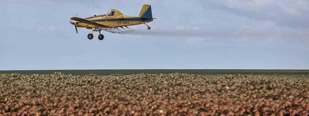 Pesticides sprayed by plane across cotton fields in the Batavo region of Balsas in Maranhao state. Plane spraying has added health and environmental risks, as winds can unexpectedly shift pesticides to where they weren’t intended to go.