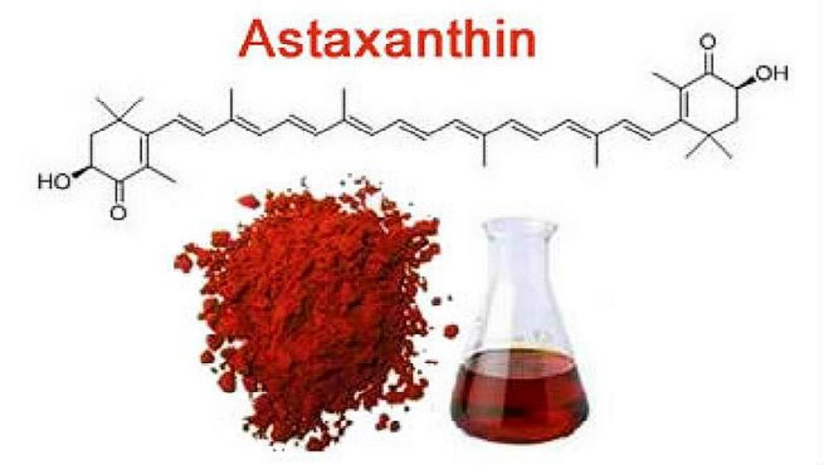 Astaxanthin The Super Antioxidant That Comes From The Ocean Nexus Newsfeed 