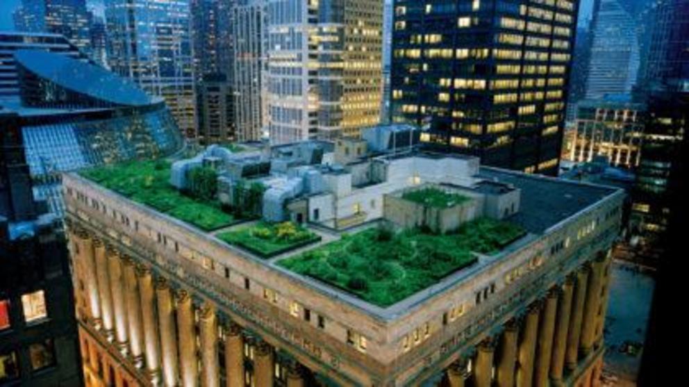 Chicago’s City Hall building green roof. Picture credit to: Urban Matter