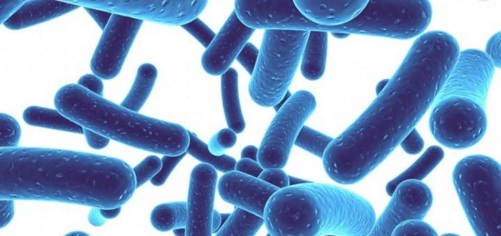 Probiotic use may reduce antibiotic prescriptions - Nexus Newsfeed