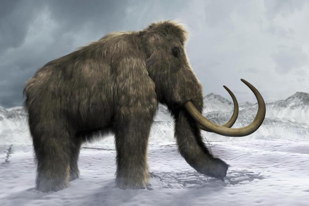 Could herds of cloned prehistoric beasts help save the planet? Some scientists think they could