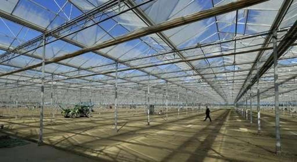 In this Sept. 25, 2018 photo, a worker walks through a massive tomato greenhouse being renovated to grow pot in Delta, British Columbia, that is operated by Pure Sunfarms, a joint venture between tomato grower Village Farms International, and a licensed m