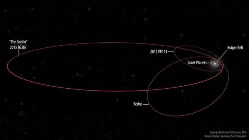 The orbits of the new extreme dwarf planet 2015 TG387, nicknamed the Goblin, and its fellow Inner-Oort Cloud objects 2012 VP113 and Sedna as compared with the rest of the Solar System. Photograph: Illustration by Roberto Molar Candanosa and Scott Sheppard