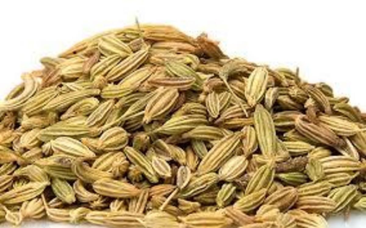 Fennel seeds are a potent booster of nitric oxide - Nexus Newsfeed