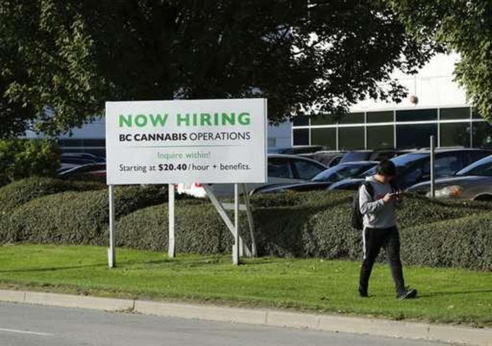 In this Sept. 26, 2018 photo, a pedestrian walks past a sign advertising jobs with BC Cannabis Operations in front of the warehouse in Richmond, British Columbia, that will store pot purchased from licensed producers before it is shipped to retail shops a