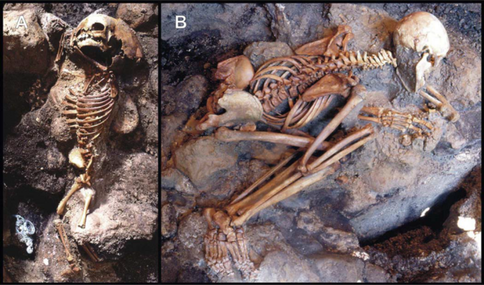 Skeletons found in the waterfront chambers.