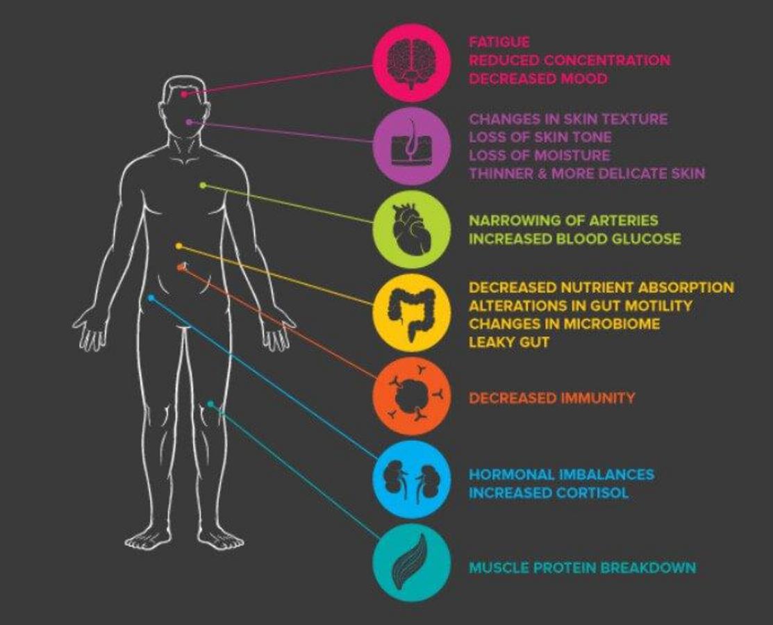 On the body. Stress Effects on the body. Effects of stress. How stress affects your body. The Effect of stress on the Human body.