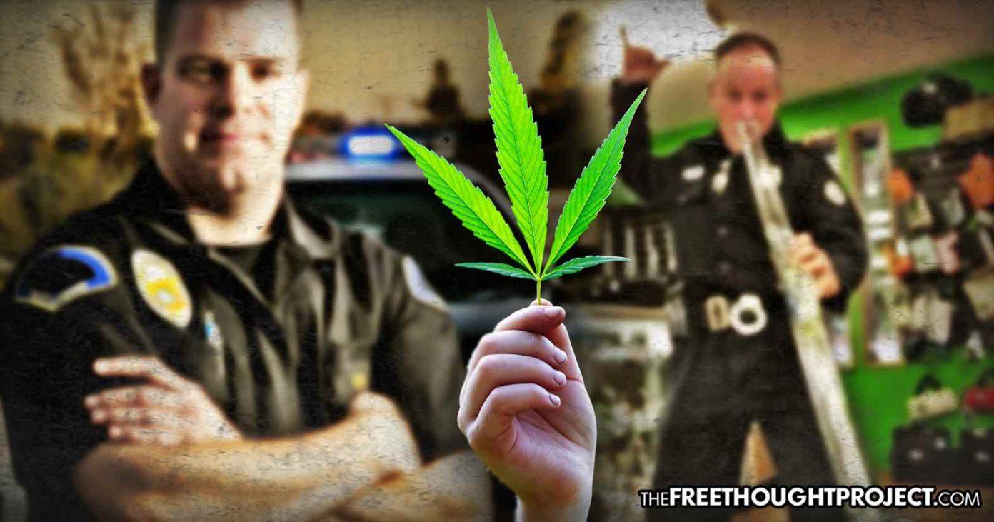 After Arresting Thousands For It Police Dept Claims Officers Can Now Use Cannabis Nexus Newsfeed 