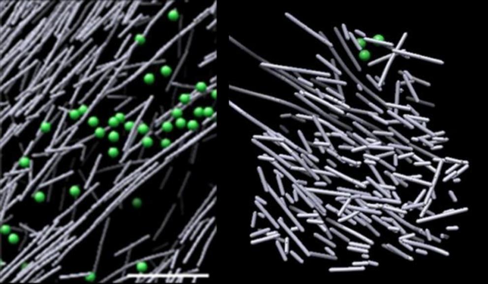 Cryo-electron microscope images of actin assembly in the cell in the absence of a molecular signal (left) and the haystack-like actin filament nanoscaffold that was induced in response to a molecular signal (Rac1) and promotes cell movement (right). The s