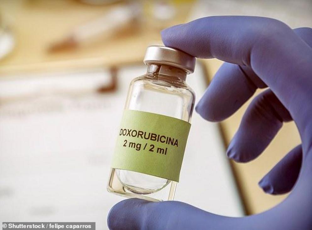 Doxorubicin (stock image) is one of two commonly prescribed breast-cancer chemo drugs the scientists analysed. When put in an experimental tumour model, doxorubicin caused breast tumours to release sacs containing a protein that was then circulated to the