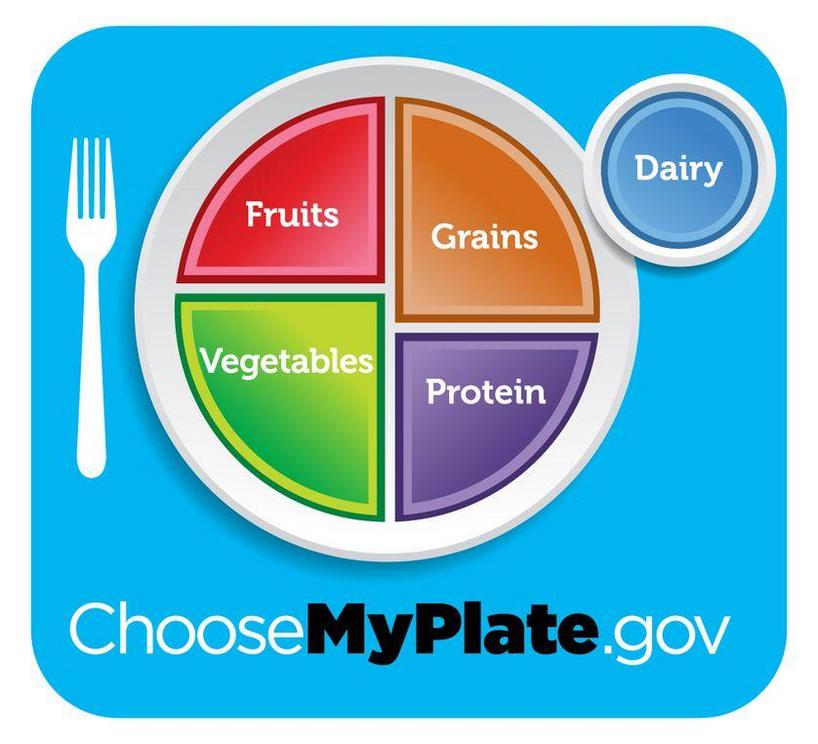 The USDA's MyPlate replaced the Food Guide Pyramid in June 2011.